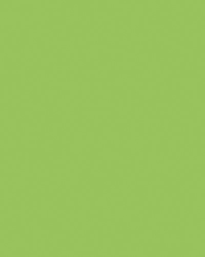 Etalagekarton Folia 1-zijdig 48x68cm 380gr nr941 fluor groen