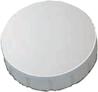 Magneet MAUL Solid 20mm 300gr wit 10 stuks